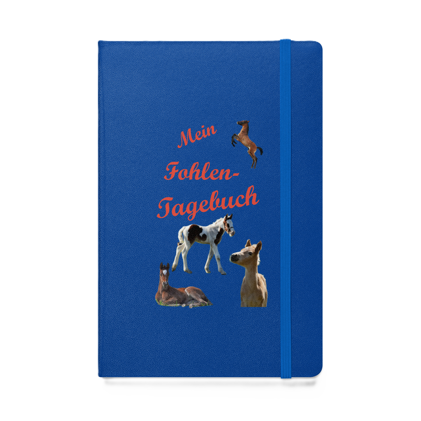 Mein Fohlentagebuch