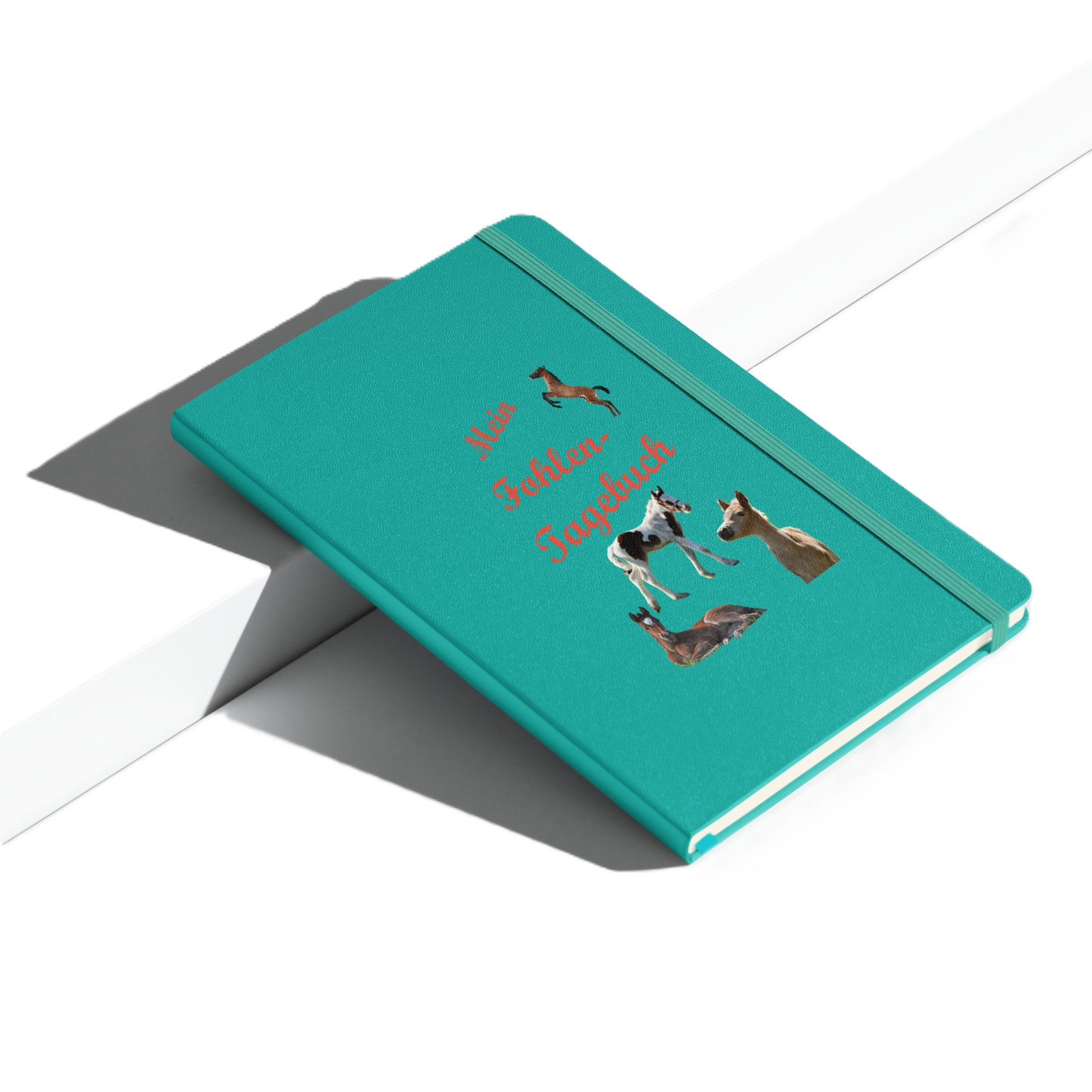 Mein Fohlentagebuch