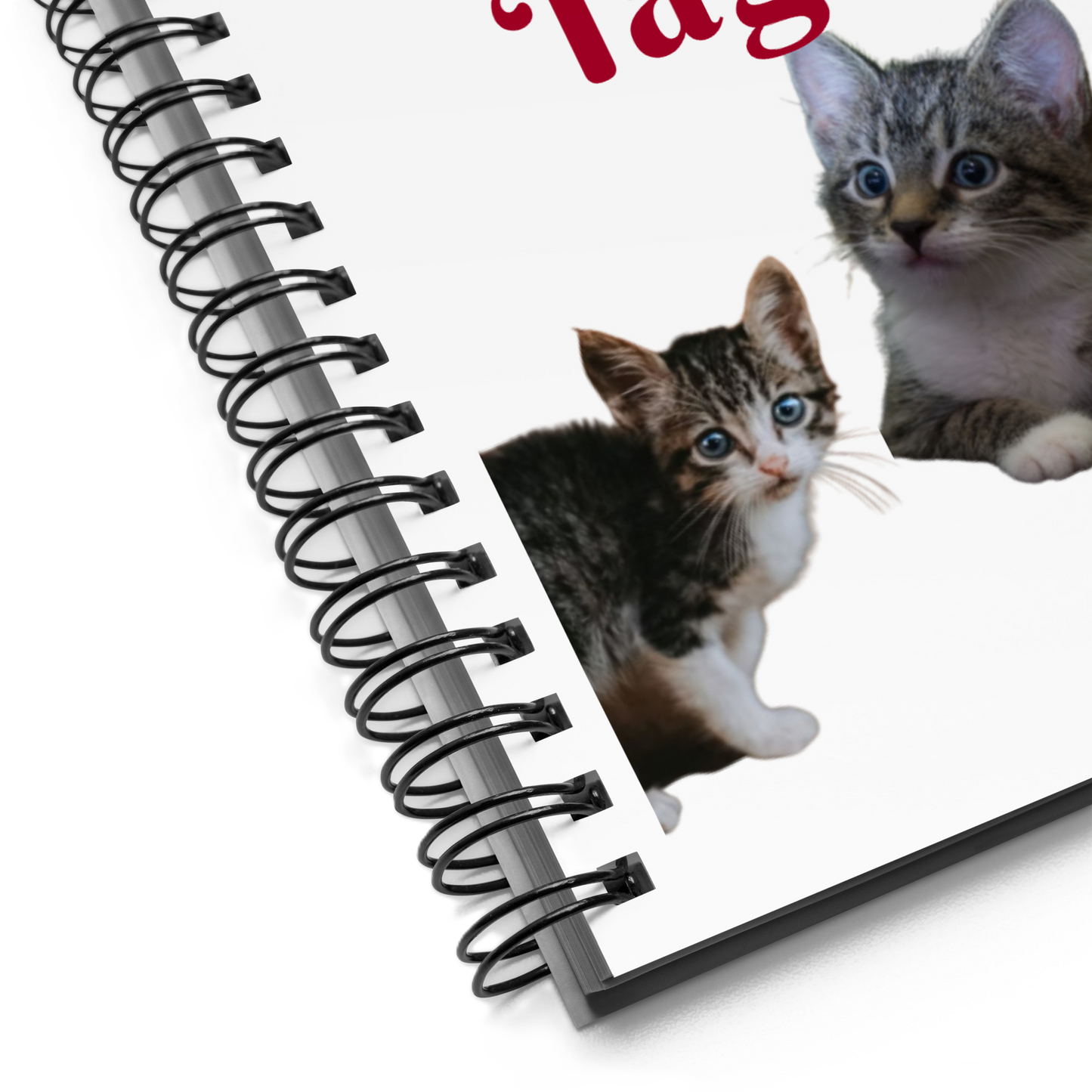 Mein Kitten-Tagebuch