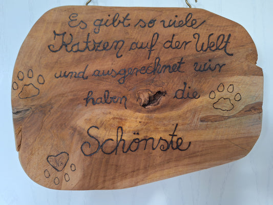 Schild-Katzen, die schönste