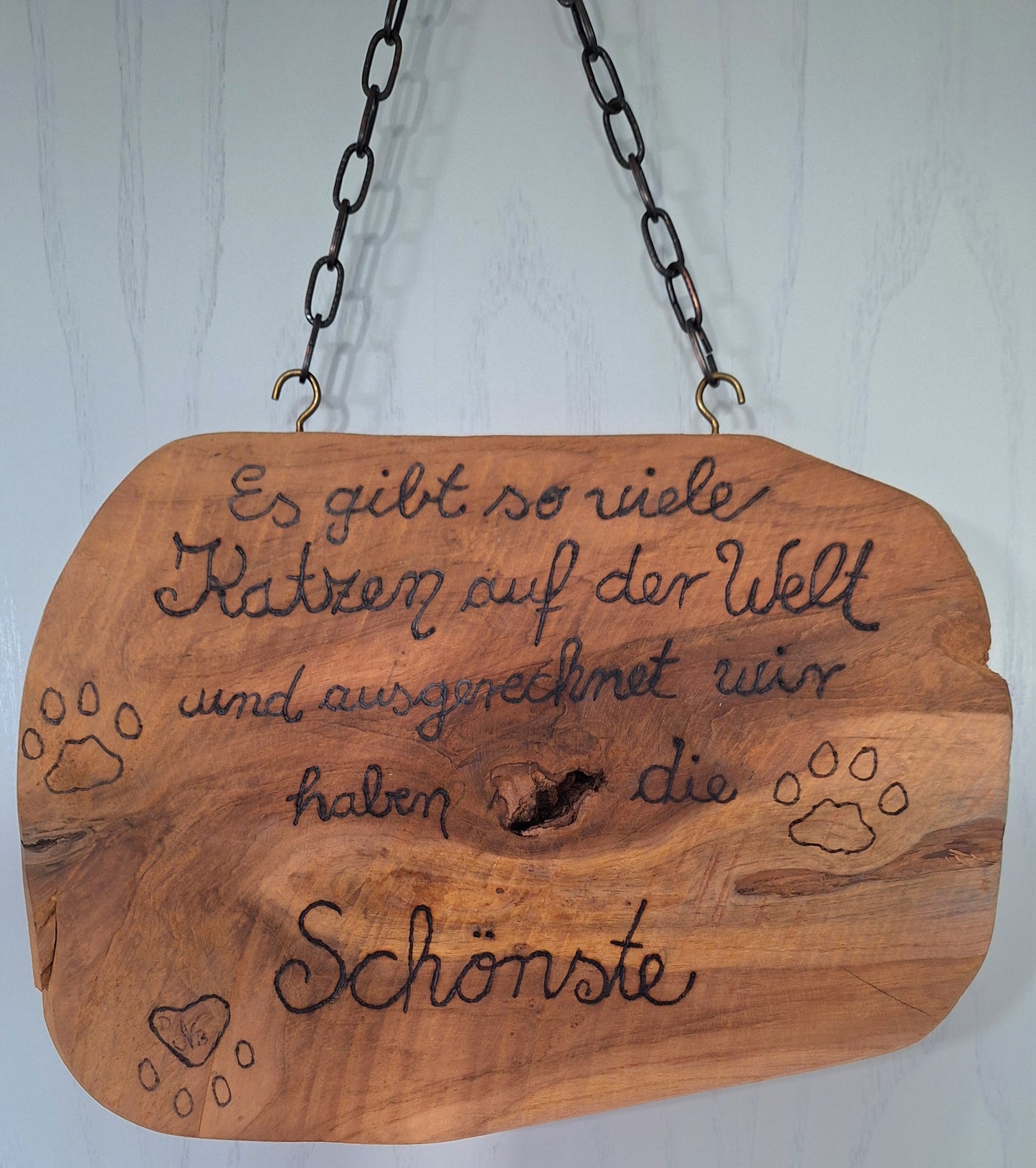 Schild-Katzen, die schönste