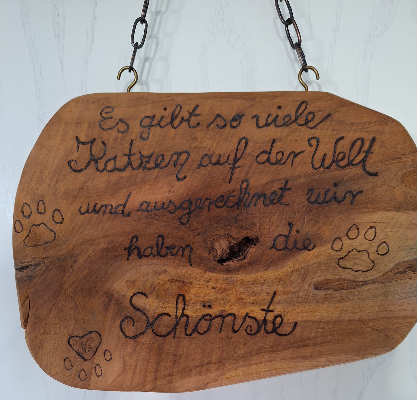 Schild-Katzen, die schönste