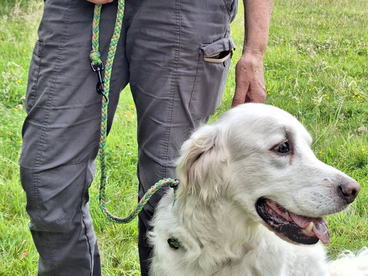 Handgemachte Retriever-Trainings-Leinen