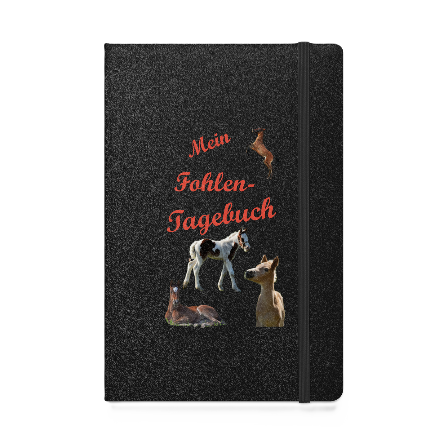 Mein Fohlentagebuch