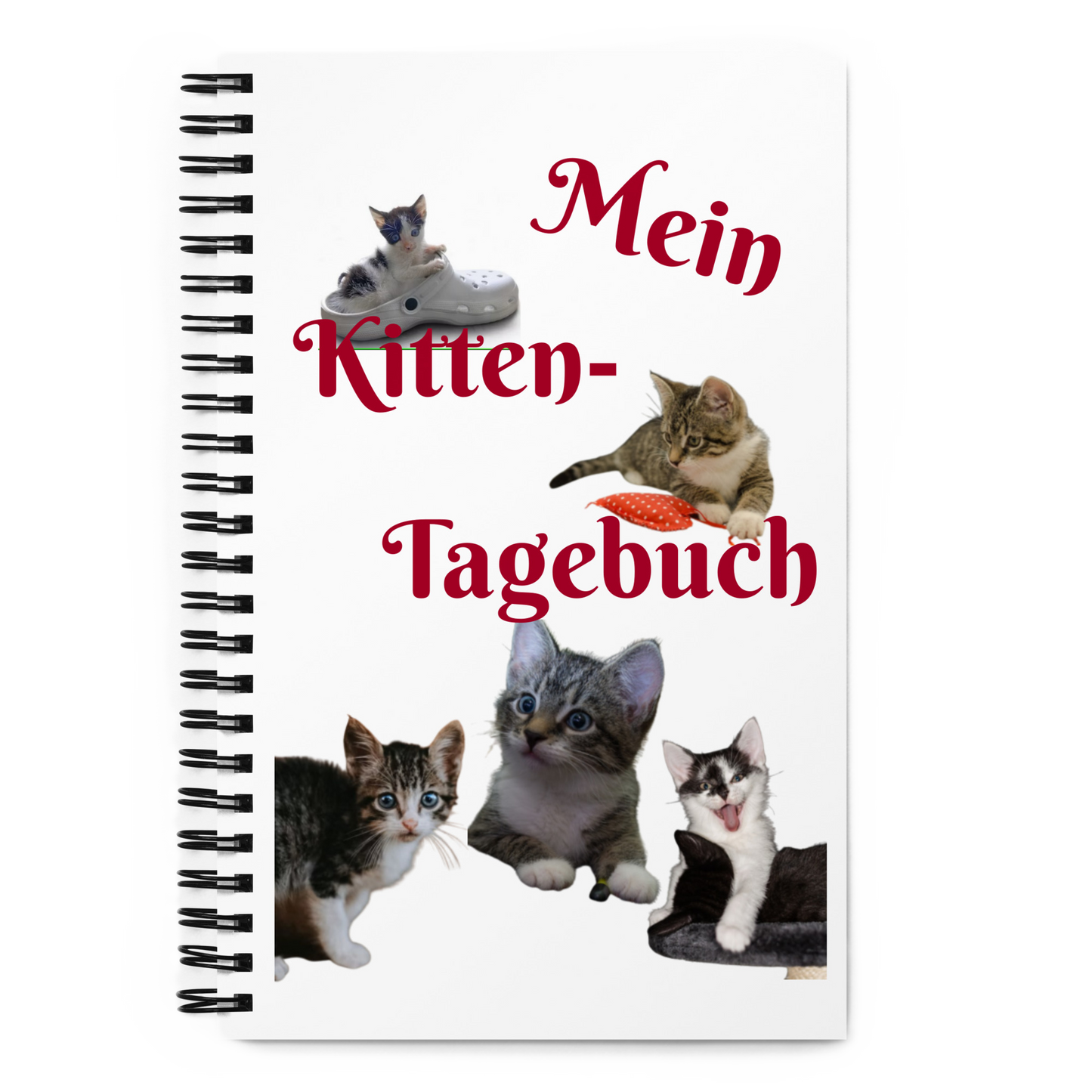 Mein Kitten-Tagebuch