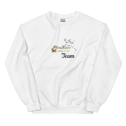 Der Team-Sweater