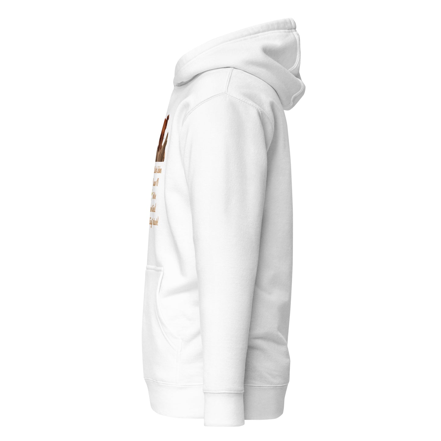 Hoodie Einer lügt